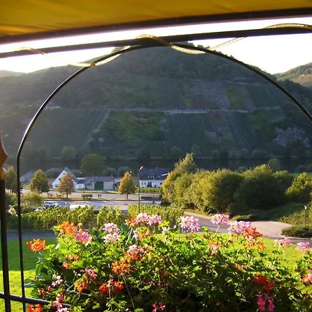 Moselblick